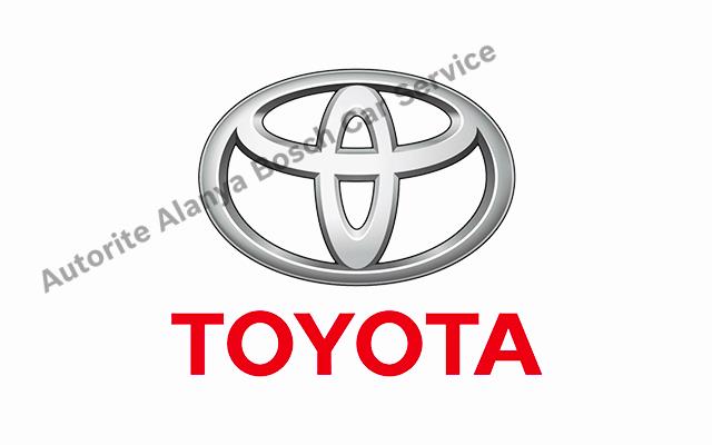 Alanya Toyota Servisi